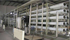 過敏很可能危及生命,過敏原的分離純化技術(shù)是必不可少的 過敏很可能危及生命,過敏原的分離純化技術(shù)是必不可少的