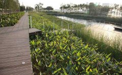 水平潛流人工濕地詳細(xì)介紹 水平潛流人工濕地詳細(xì)介紹