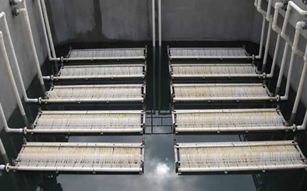 生物反應器的類型 生物反應器的類型