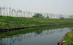 回顧2012鎮江水污染 礦泉水賣瘋了 回顧2012鎮江水污染 礦泉水賣瘋了