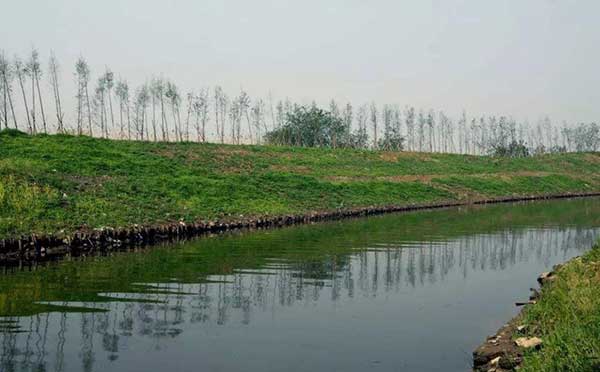 鎮江水污染 鎮江水污染