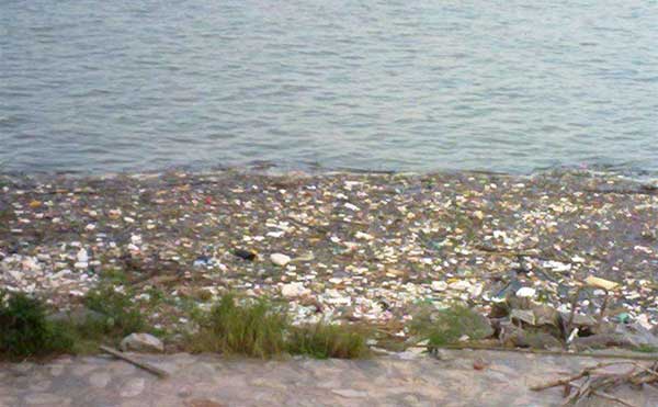 黃河水污染 黃河水污染