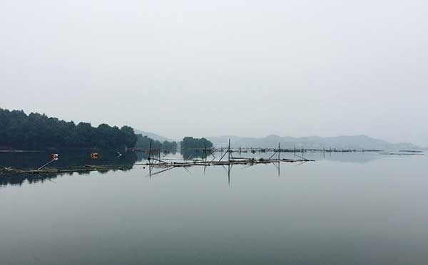 湘江水污染 湘江水污染