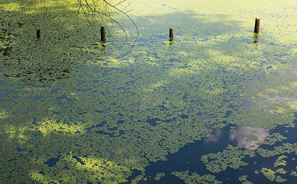 ��ˮ�����{ˮԴ