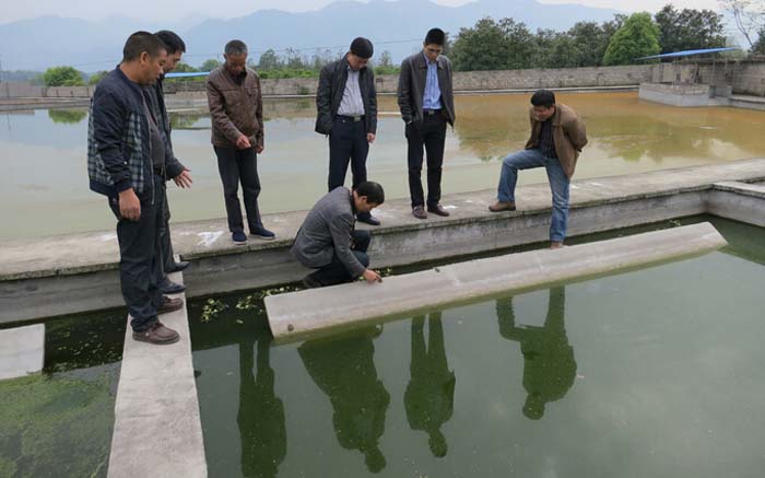 環保專項資金投入巨大環境問題猶存