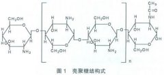 殼聚糖處理廢水 殼聚糖處理廢水